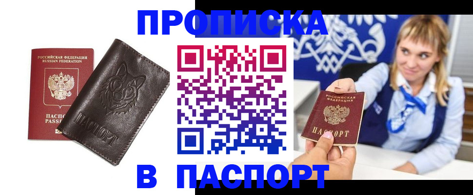 где прописаться в Амурской области